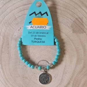 Pulsera Acuario Turquesa