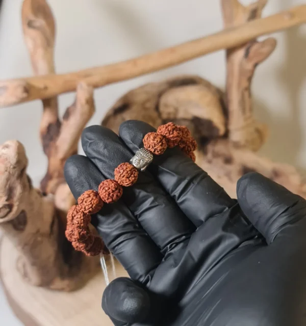 Pulsera Semilla Sagrada Rudraksma Marrón