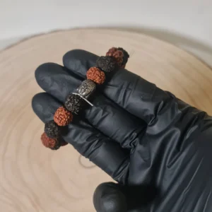Pulsera Semilla Sagrada Rudraksma Mixta