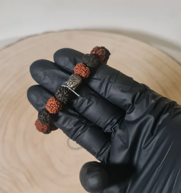Pulsera Semilla Sagrada Rudraksma Mixta