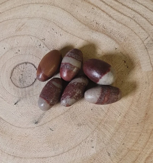 Shiva piedra sagrada