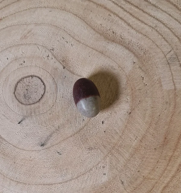 Shiva piedra sagrada
